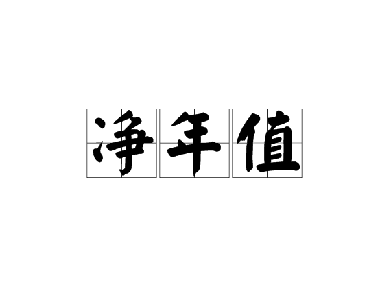 淨年值 淨年值
