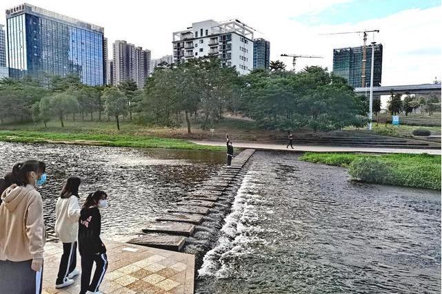 龍崗綠道 龍崗綠道