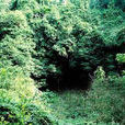 馬鞍嶺 馬鞍嶺