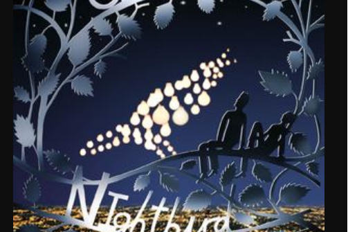 Nightbird Nightbird