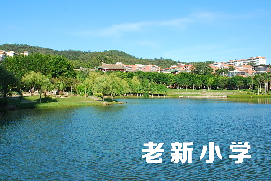老新國小 老新國小