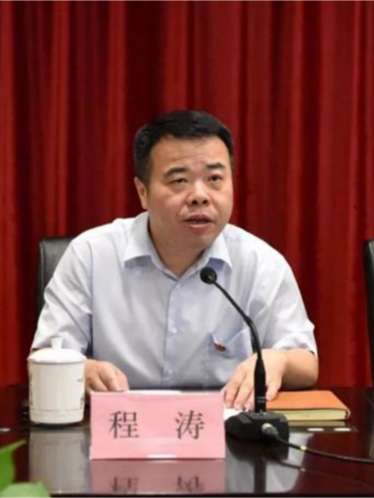 程濤(浙江滬杭甬執行董事,戰略委員會委員) 程濤(浙江滬杭甬執行董事,戰略委員會委員)