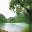 金柱山 金柱山