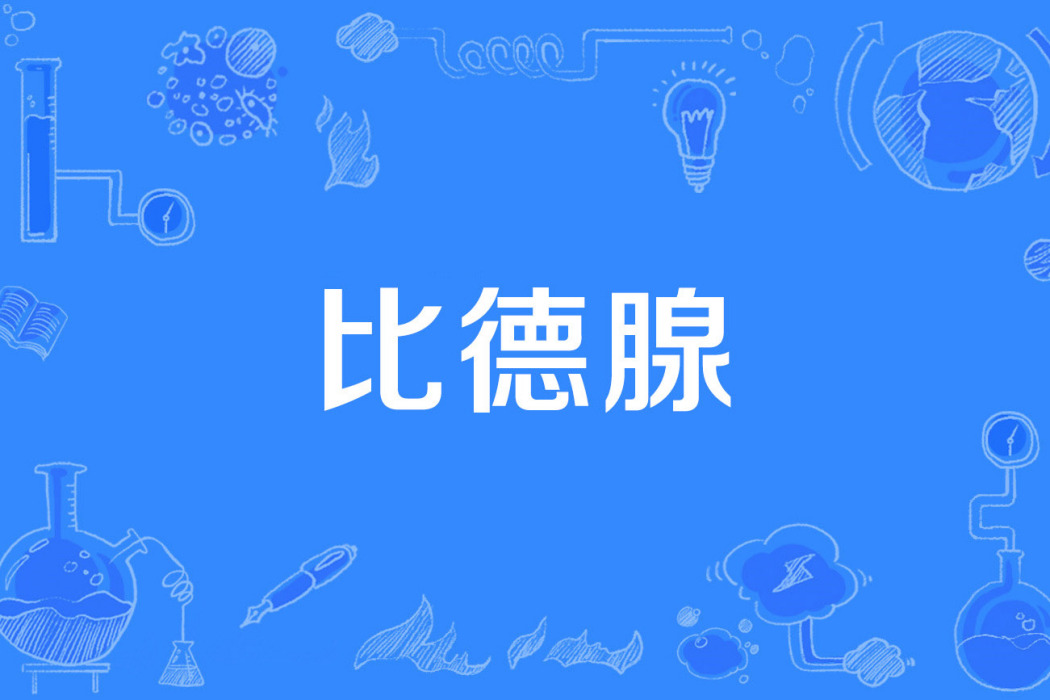 比德腺