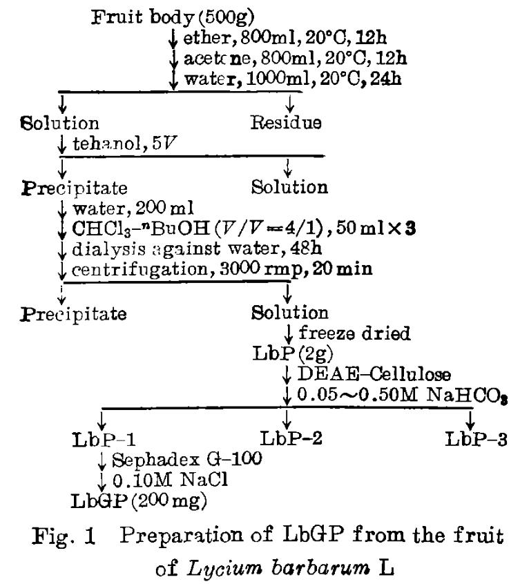 圖1（枸杞糖肽提純過程）