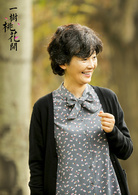 一樹桃花開(2016年王瑞執導電視劇)
