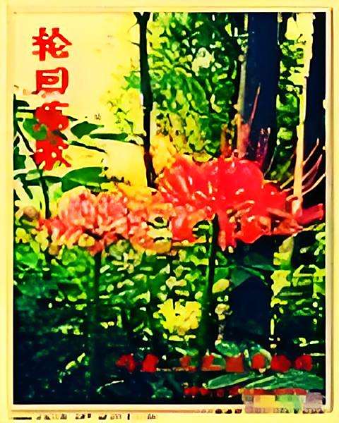 輪迴殤歌 輪迴殤歌