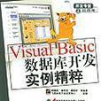 Visual Basic資料庫開發實例精粹