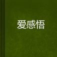 愛感悟 愛感悟