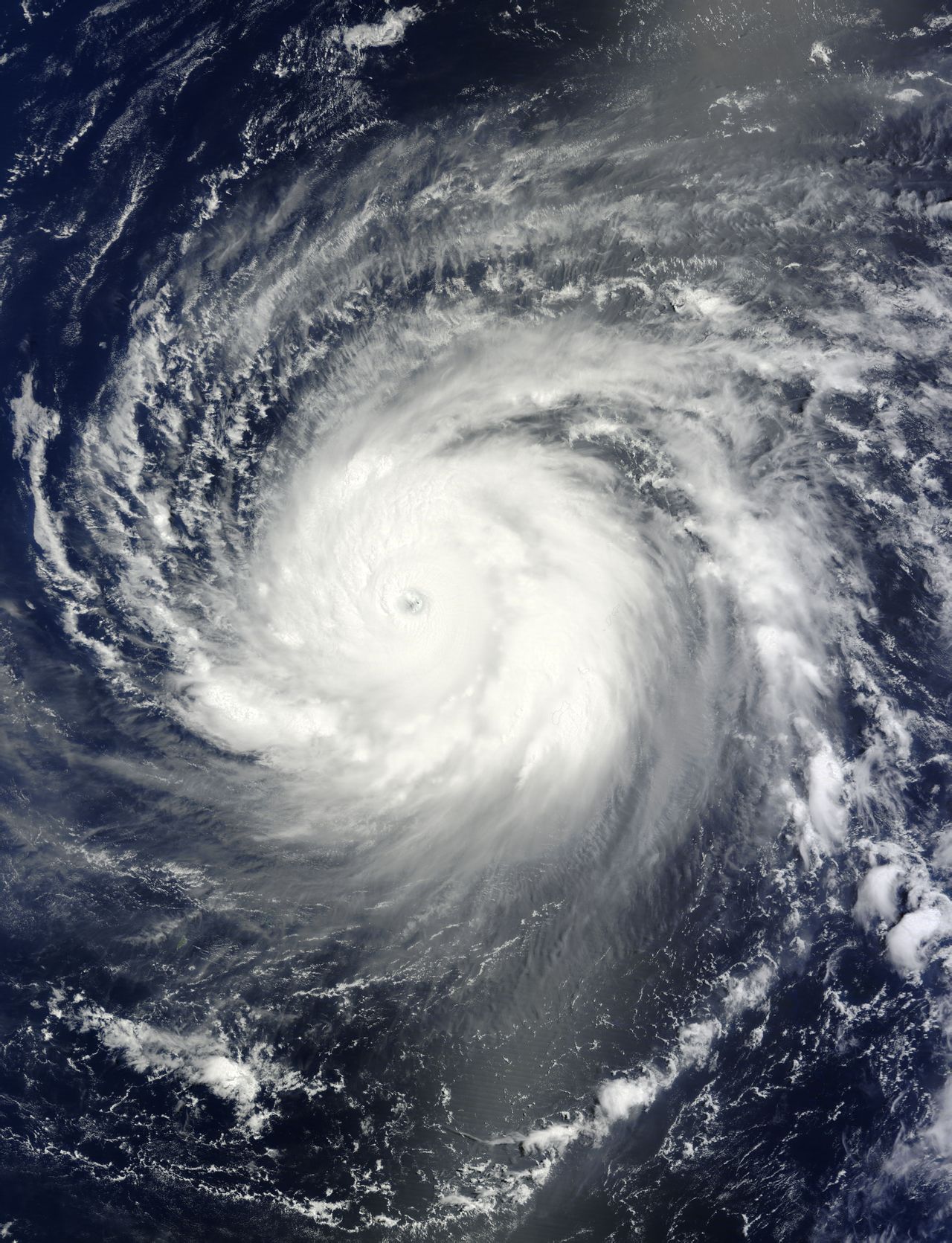 颱風白海豚    衛星雲圖