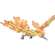 火焰鳥(Moltres) 火焰鳥(Moltres)
