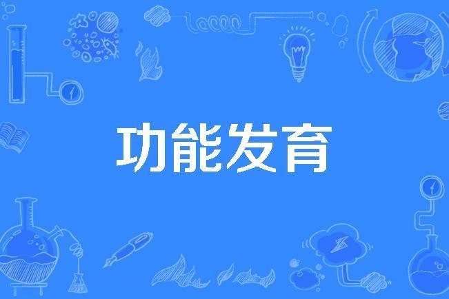 功能發育 功能發育