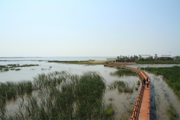 呼蘭區河口濕地公園