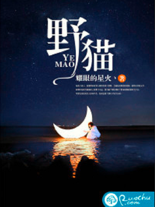 野貓(耀眼的星火丶所著網路小說) 野貓(耀眼的星火丶所著網路小說)