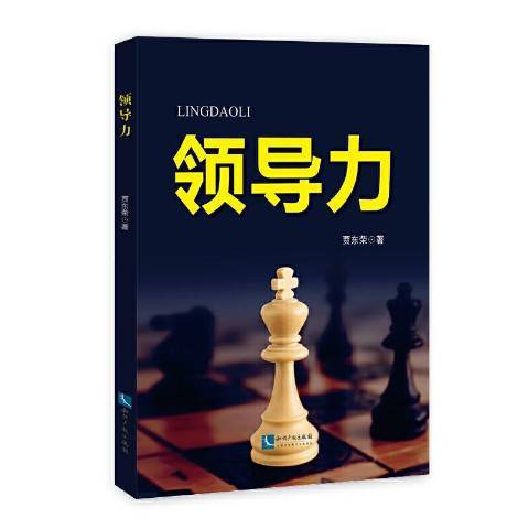 領導力(2020年智慧財產權出版社出版的圖書) 領導力(2020年智慧財產權出版社出版的圖書)
