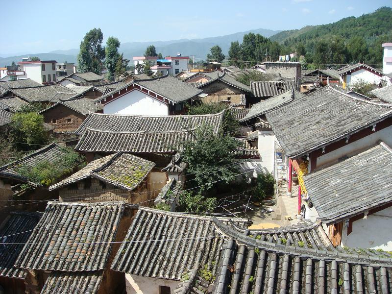 靈源居委會 靈源居委會