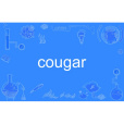 cougar cougar