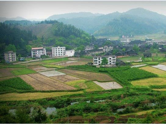 杉木橋鄉(湖南懷化市通道縣杉木橋鄉) 杉木橋鄉(湖南懷化市通道縣杉木橋鄉)