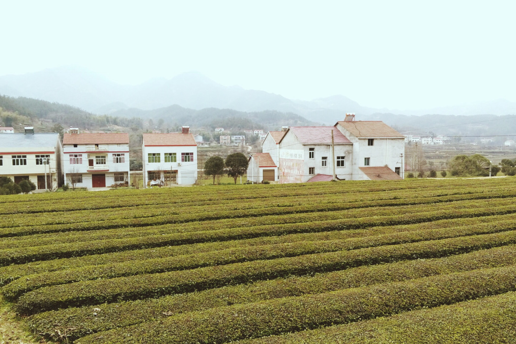 宋家榜村 宋家榜村