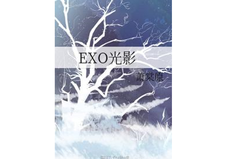 EXO光影 EXO光影