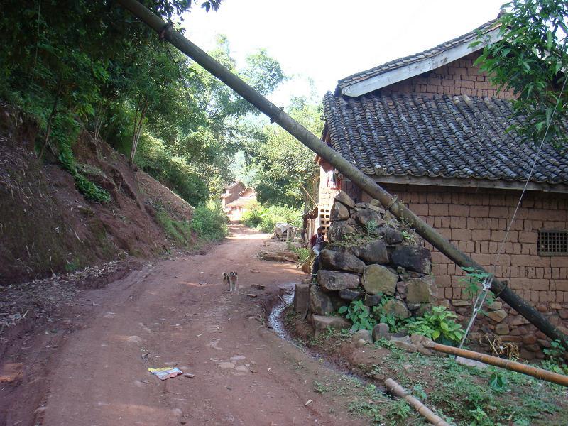 芒峨村 芒峨村