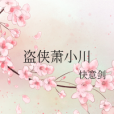 盜俠蕭小川 盜俠蕭小川