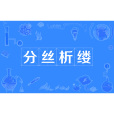 分絲析縷 分絲析縷