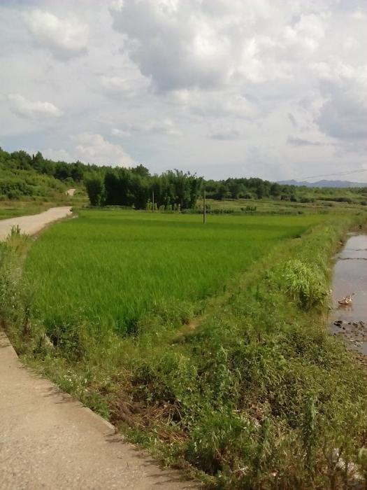 曉石村 曉石村