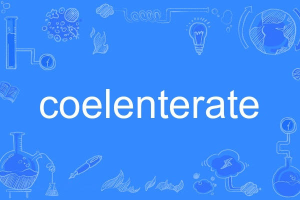 coelenterate coelenterate