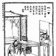 杜小雷 杜小雷