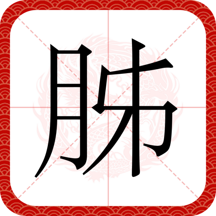 胏 胏