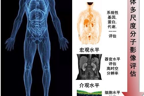 透明病理 透明病理