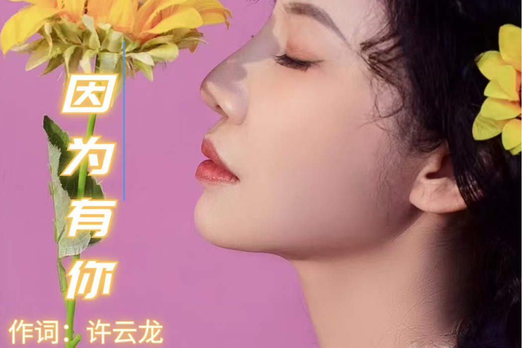 因為有你(許雲龍、周永莉演唱的歌曲) 因為有你(許雲龍、周永莉演唱的歌曲)