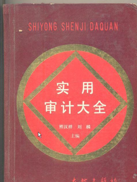 實用審計大全
