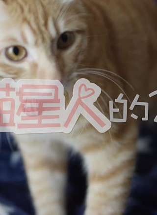 丁程鑫 丁程鑫