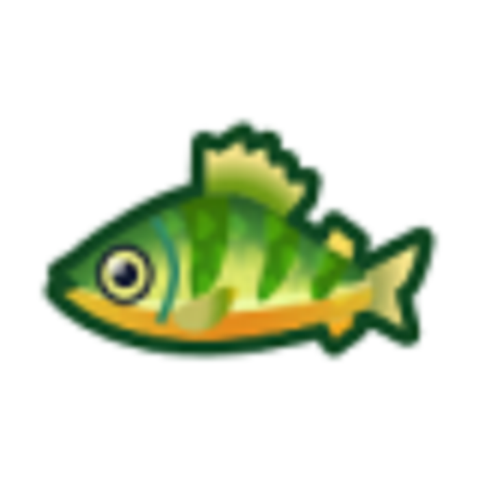 黃鱸魚 黃鱸魚