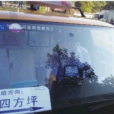 同向載客 同向載客