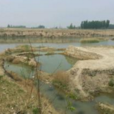 及莊村(河北省滄州市任丘市北漢鄉下轄村)