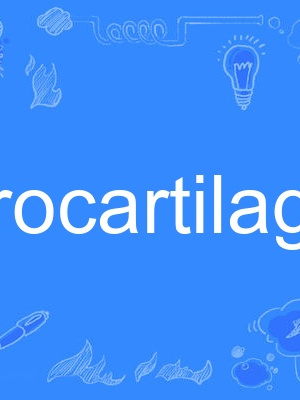 fibrocartilage fibrocartilage