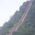 奶奶頂 奶奶頂