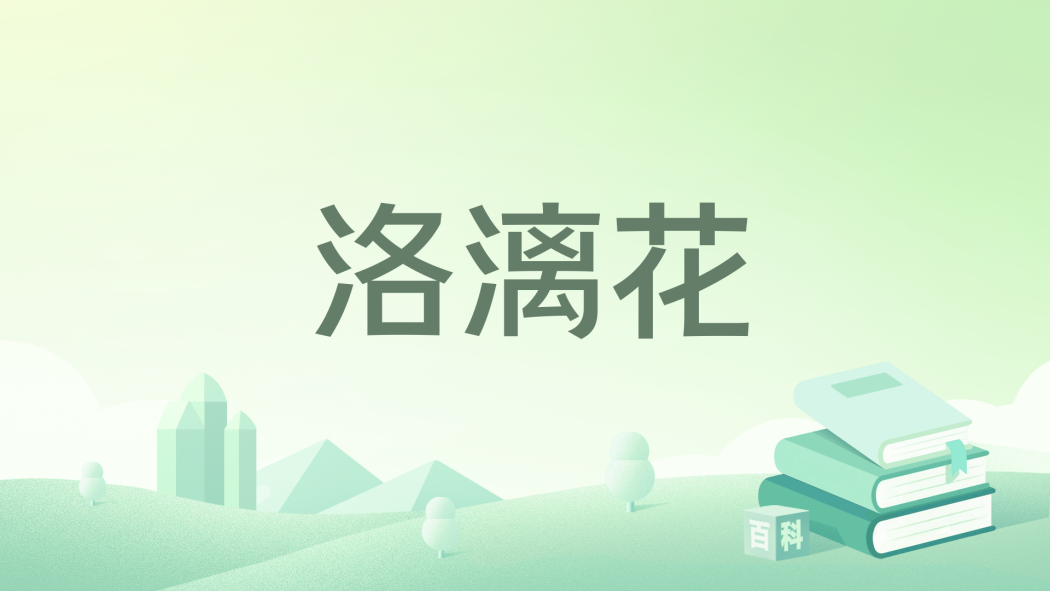 洛漓花 洛漓花