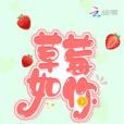 草莓如你 草莓如你