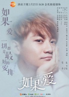 如果，愛(2017年張哲書執導電視劇)