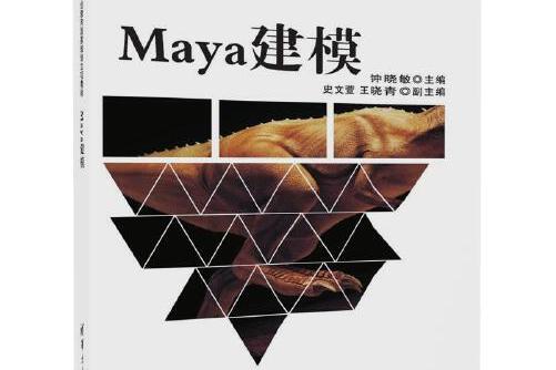 maya建模(2017年清華大學出版社出版的圖書) maya建模(2017年清華大學出版社出版的圖書)