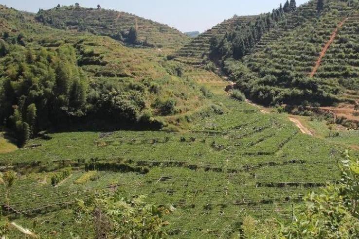 堆禾村 堆禾村