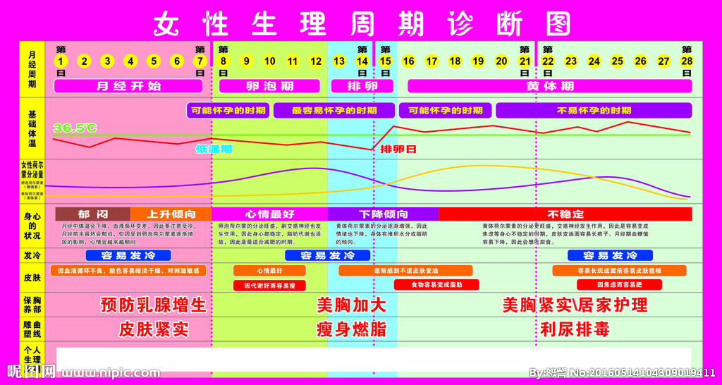 卵胞 期 症状