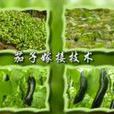 茄子嫁接法 茄子嫁接法