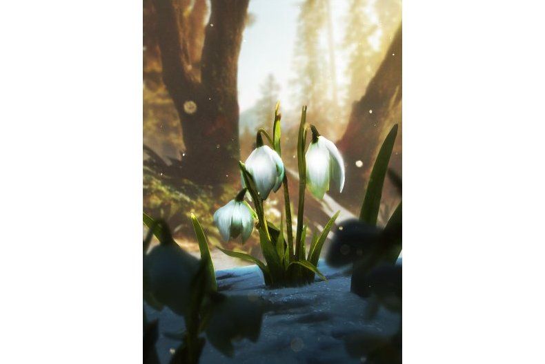 融雪(遊戲《巫師之昆特牌》中的卡牌) 融雪(遊戲《巫師之昆特牌》中的卡牌)