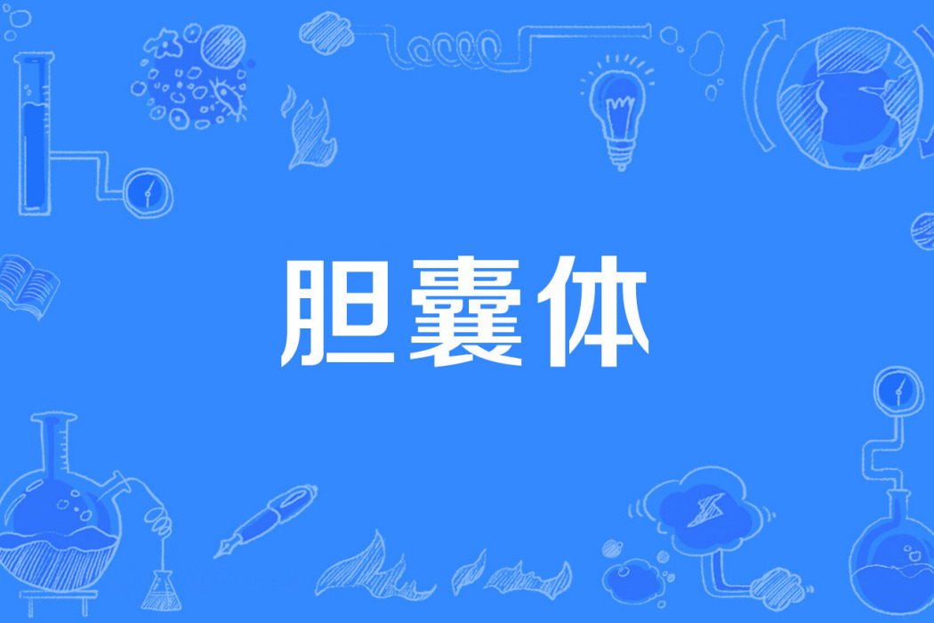 膽囊體 膽囊體