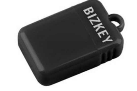 BIZKEY 彩玉 K2 BIZKEY 彩玉 K2